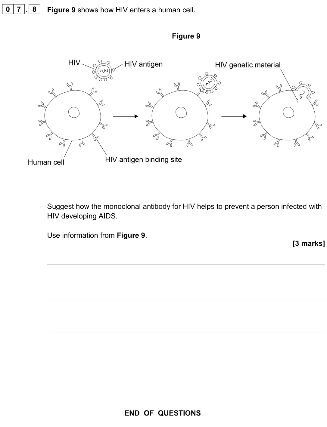 June 2022 Paper 1 Higher, question 07.8: Figure 9 shows how HIV enters a human cell. Figure 9 Suggest how the monoclonal antibody for HIV helps to prevent a person infected with HIV developing AIDS. Us