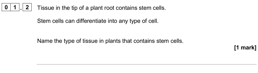 June 2023 Paper 1 Higher, question 01.2: Tissue in the tip of a plant root contains stem cells. Stem cells can differentiate into any type of cell. Name the type of tissue in plants that contains stem
