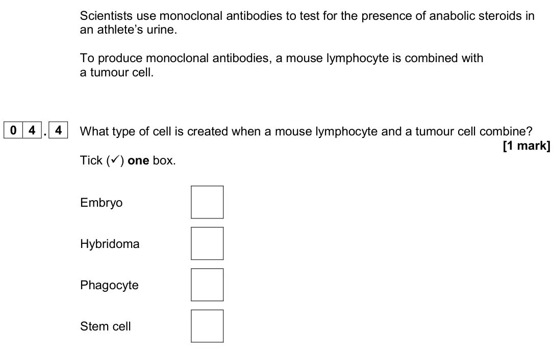 June 2023 Paper 1 Higher, question 04.4: What type of cell is created when a mouse lymphocyte and a tumour cell combine? [1 mark] Tick () one box. Embryo Hybridoma Phagocyte Stem cell