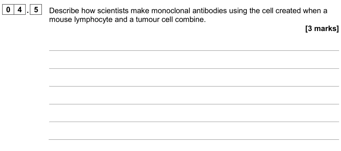 June 2023 Paper 1 Higher, question 04.5: Describe how scientists make monoclonal antibodies using the cell created when a mouse lymphocyte and a tumour cell combine. [3 marks]