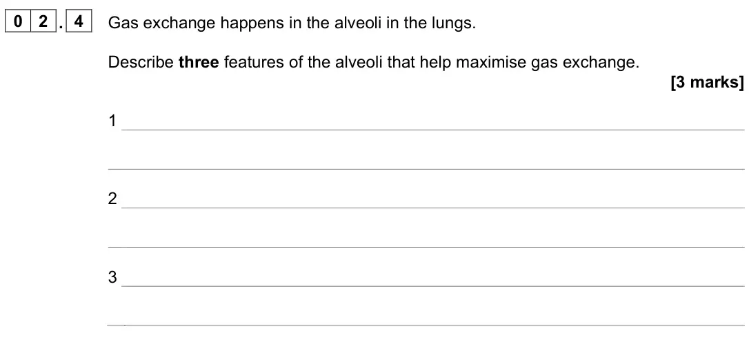 June 2024 Paper 1 Higher, question 02.4: Gas exchange happens in the alveoli in the lungs. Describe three features of the alveoli that help maximise gas exchange. [3 marks] 1 2 3
