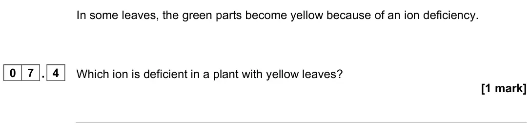 June 2024 Paper 1 Higher, question 07.4: Which ion is deficient in a plant with yellow leaves? [1 mark]