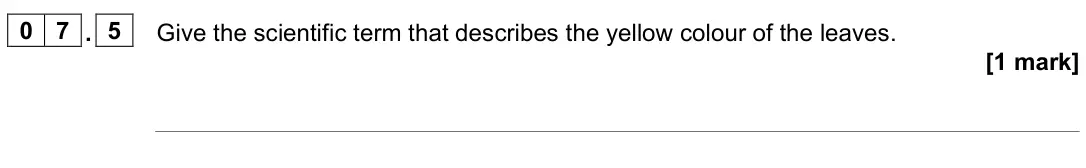 June 2024 Paper 1 Higher, question 07.5: Give the scientific term that describes the yellow colour of the leaves. [1 mark]