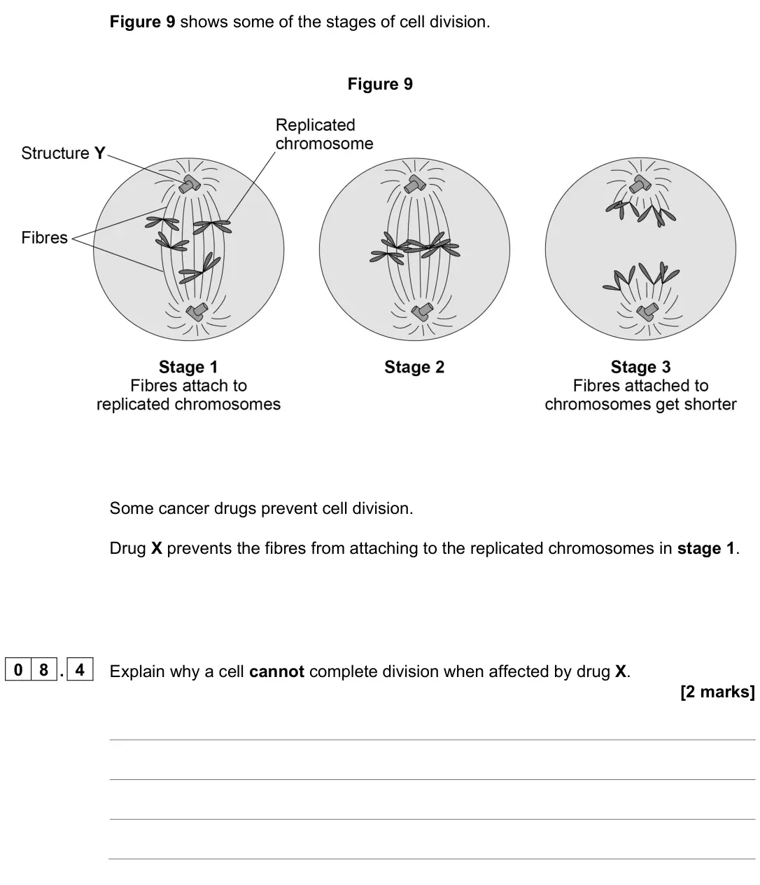 June 2024 Paper 1 Higher, question 08.4: Explain why a cell cannot complete division when affected by drug X. [2 marks]