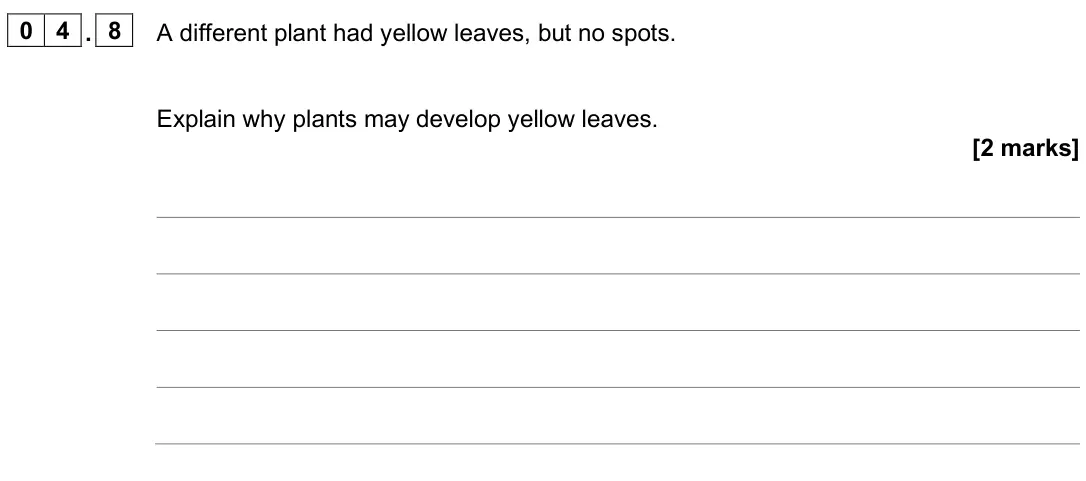 June 2025 Paper 1 Higher, question 04.8: A different plant had yellow leaves, but no spots. Explain why plants may develop yellow leaves. [2 marks]