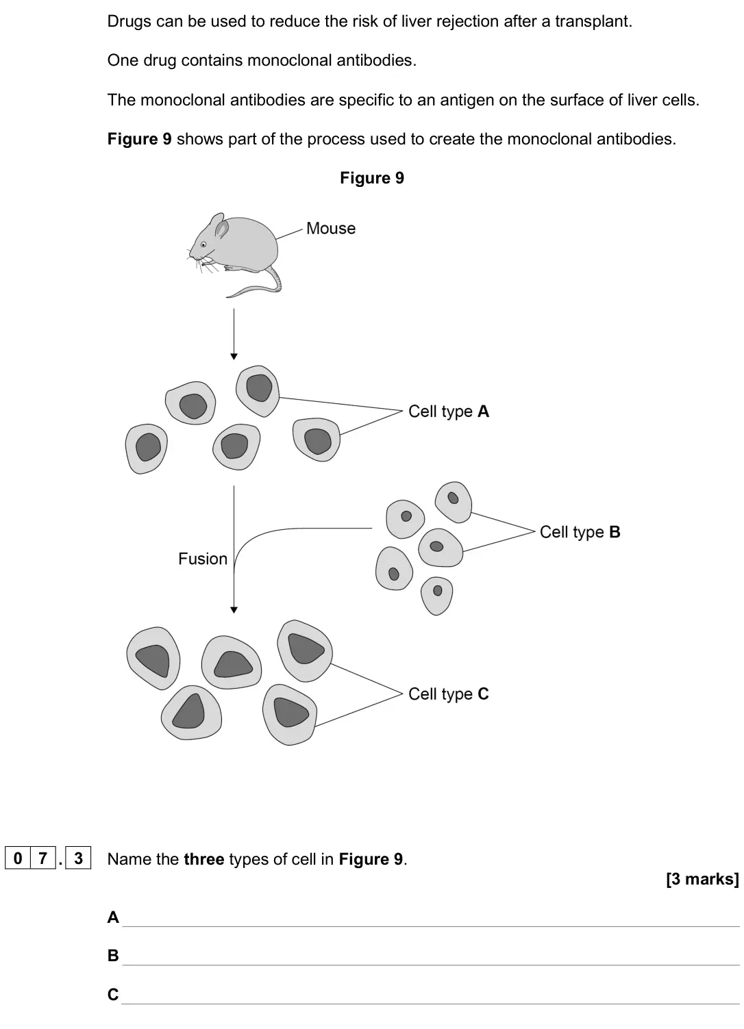 June 2025 Paper 1 Higher, question 07.3: Name the three types of cell in Figure 9. [3 marks] A B C