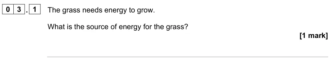 June 2023 Paper 2 Foundation, question 03.1: The grass needs energy to grow. What is the source of energy for the grass? [1 mark]