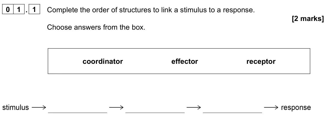June 2024 Paper 2 Foundation, question 01.1: Complete the order of structures to link a stimulus to a response. [2 marks] Choose answers from the box. coordinator effector receptor
