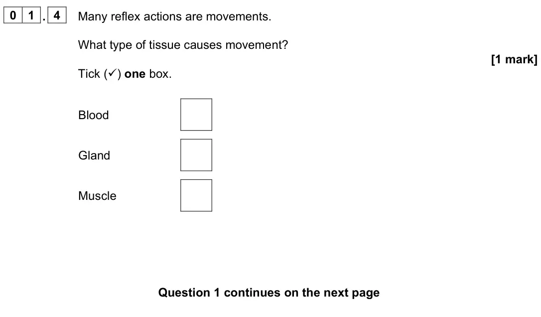 June 2024 Paper 2 Foundation, question 01.4: Many reflex actions are movements. What type of tissue causes movement? [1 mark] Tick () one box. Blood Gland Muscle