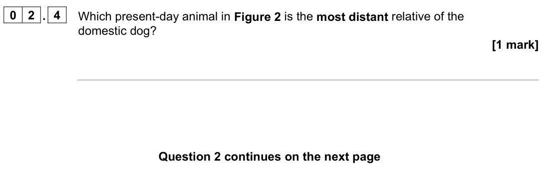 June 2024 Paper 2 Foundation, question 02.4: Which present-day animal in Figure 2 is the most distant relative of the domestic dog? [1 mark]