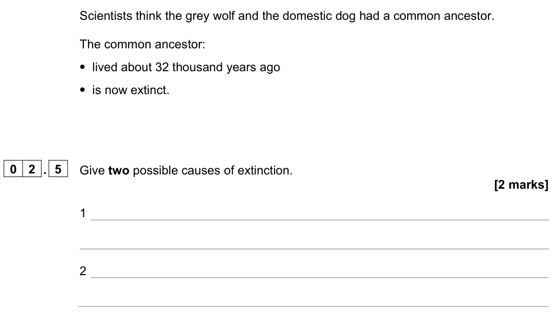 June 2024 Paper 2 Foundation, question 02.5: Give two possible causes of extinction. [2 marks] 1 2