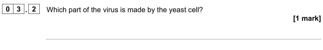 June 2024 Paper 2 Foundation, question 03.2: Which part of the virus is made by the yeast cell? [1 mark]