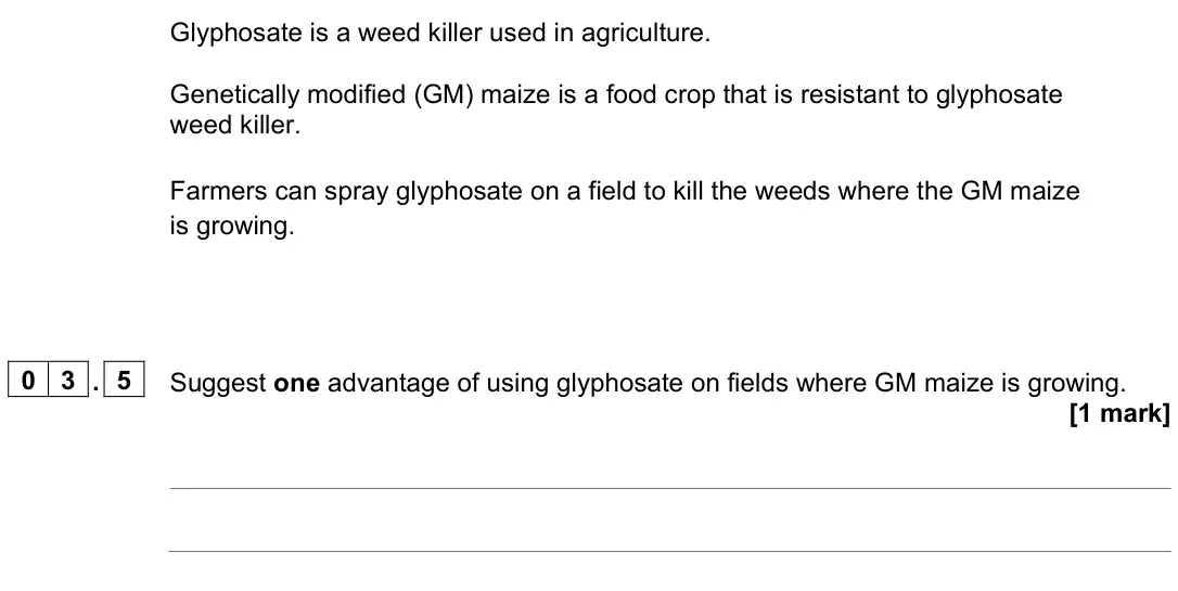 June 2024 Paper 2 Foundation, question 03.5: Suggest one advantage of using glyphosate on fields where GM maize is growing. [1 mark]