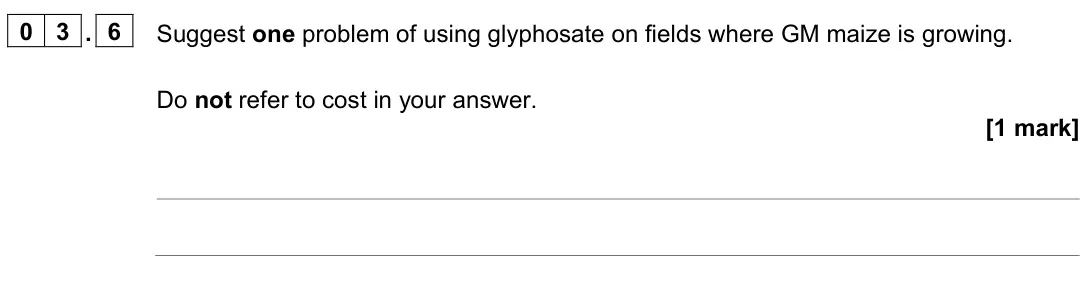 June 2024 Paper 2 Foundation, question 03.6: Suggest one problem of using glyphosate on fields where GM maize is growing. Do not refer to cost in your answer. [1 mark]