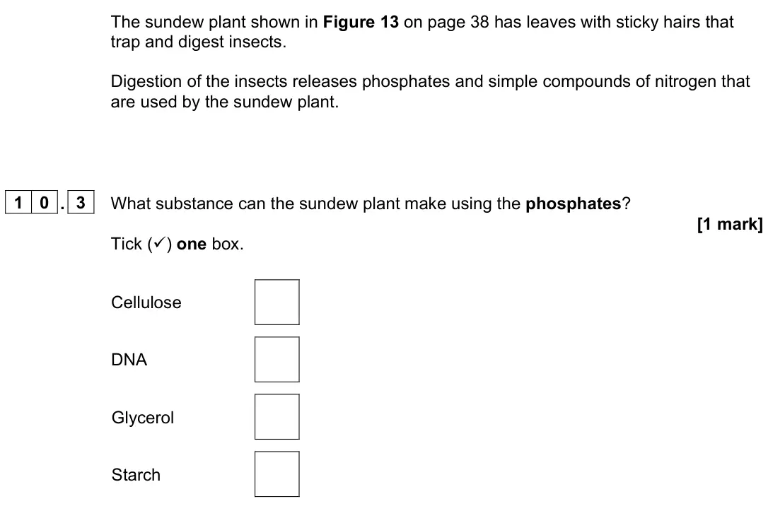 June 2024 Paper 2 Foundation, question 10.3: What substance can the sundew plant make using the phosphates? [1 mark] Tick () one box. Cellulose DNA Glycerol Starch