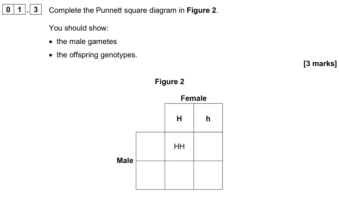 June 2025 Paper 2 Foundation, question 01.3: Complete the Punnett square diagram in Figure 2. You should show: • the male gametes • the offspring genotypes. [3 marks] Figure 2