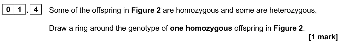 June 2025 Paper 2 Foundation, question 01.4: Some of the offspring in Figure 2 are homozygous and some are heterozygous. Draw a ring around the genotype of one homozygous offspring in Figure 2. [1 mark]