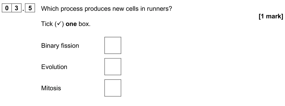 June 2025 Paper 2 Foundation, question 03.5: Which process produces new cells in runners? [1 mark] Tick () one box. Binary fission Evolution Mitosis
