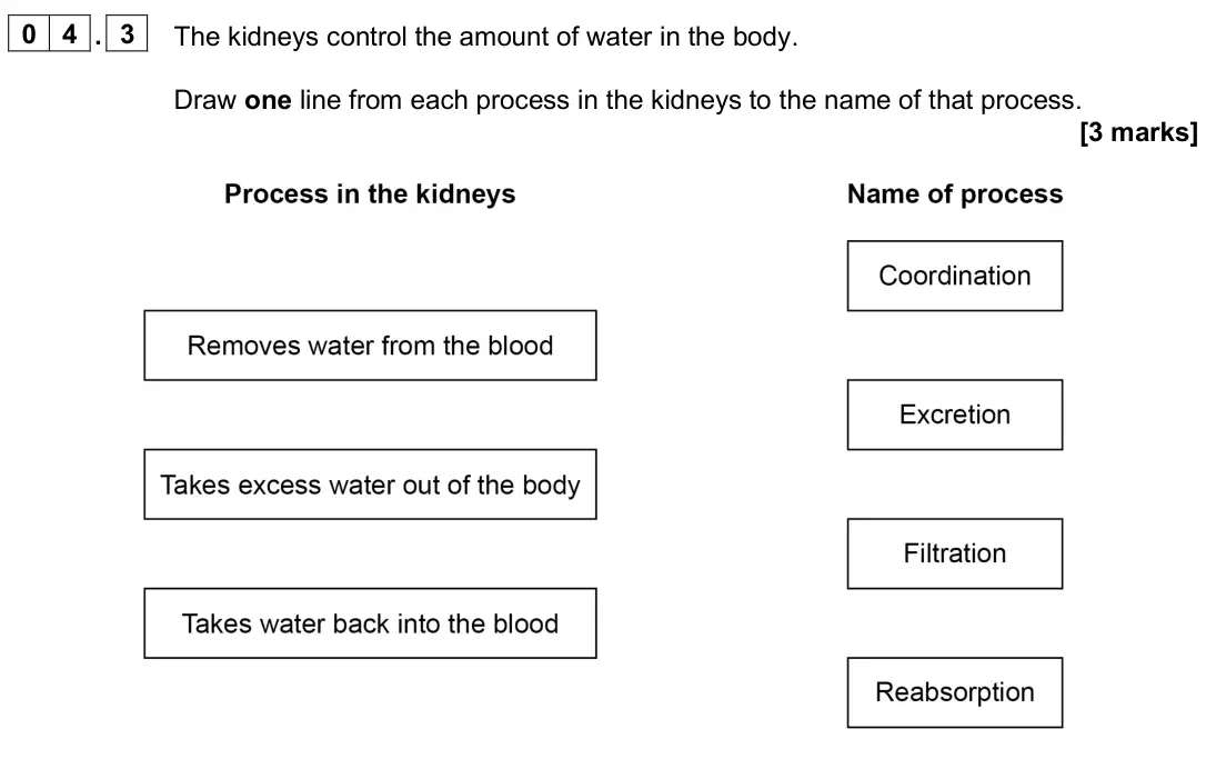 June 2025 Paper 2 Foundation, question 04.3: The kidneys control the amount of water in the body. Draw one line from each process in the kidneys to the name of that process. [3 marks]