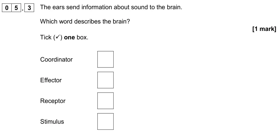 November 2020 Paper 2 Foundation, question 05.3: The ears send information about sound to the brain. Which word describes the brain? [1 mark] Tick () one box. Coordinator Effector Receptor Stimulus