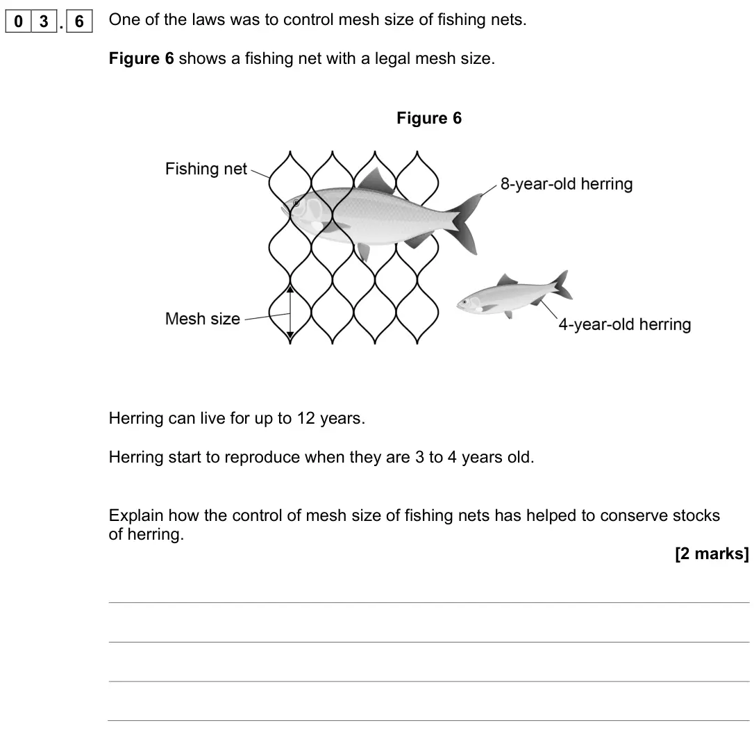 November 2021 Paper 2 Foundation, question 03.6: One of the laws was to control mesh size of fishing nets. Figure 6 shows a fishing net with a legal mesh size. Figure 6 Herring can live for up to 12 years. Her