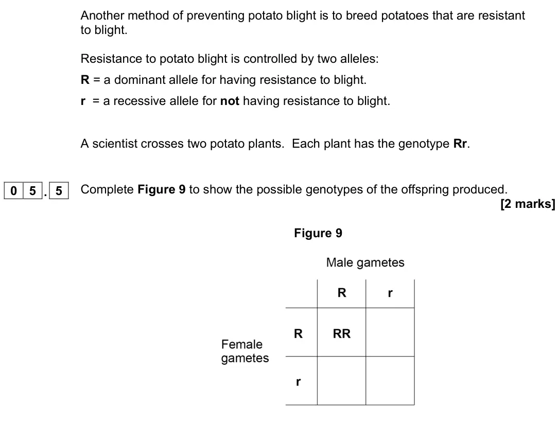 November 2021 Paper 2 Foundation, question 05.5: Complete Figure 9 to show the possible genotypes of the offspring produced. [2 marks] Figure 9
