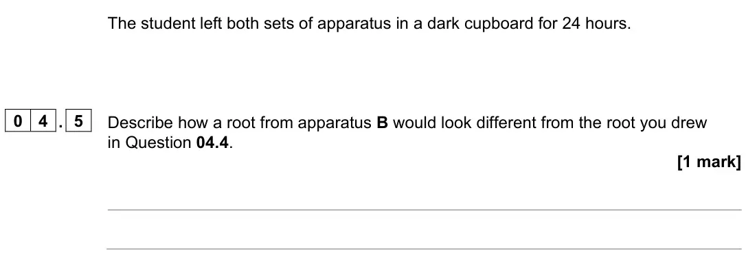 June 2024 Paper 2 Higher, question 04.5: Describe how a root from apparatus B would look different from the root you drew in Question 04.4. [1 mark]