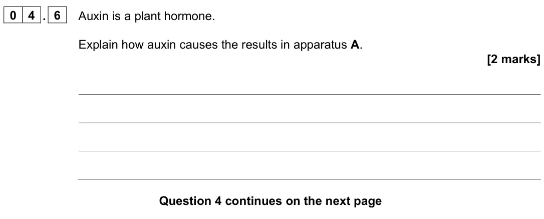 June 2024 Paper 2 Higher, question 04.6: Auxin is a plant hormone. Explain how auxin causes the results in apparatus A. [2 marks]