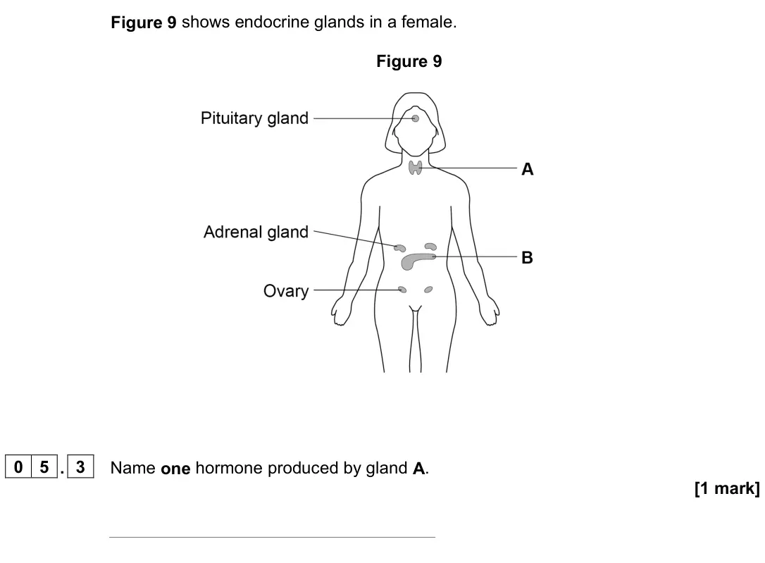 June 2024 Paper 2 Higher, question 05.3: Name one hormone produced by gland A. [1 mark]