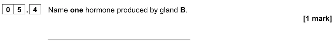 June 2024 Paper 2 Higher, question 05.4: Name one hormone produced by gland B. [1 mark]