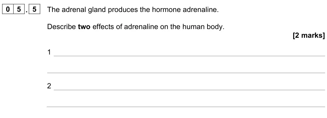 June 2024 Paper 2 Higher, question 05.5: The adrenal gland produces the hormone adrenaline. Describe two effects of adrenaline on the human body. [2 marks] 1 2
