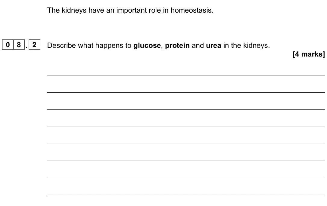 June 2024 Paper 2 Higher, question 08.2: Describe what happens to glucose, protein and urea in the kidneys. [4 marks]