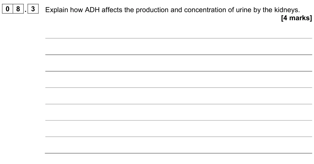 June 2024 Paper 2 Higher, question 08.3: Explain how ADH affects the production and concentration of urine by the kidneys. [4 marks]
