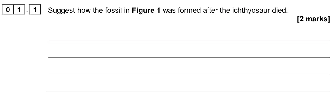 June 2025 Paper 2 Higher, question 01.1: Suggest how the fossil in Figure 1 was formed after the ichthyosaur died. [2 marks]