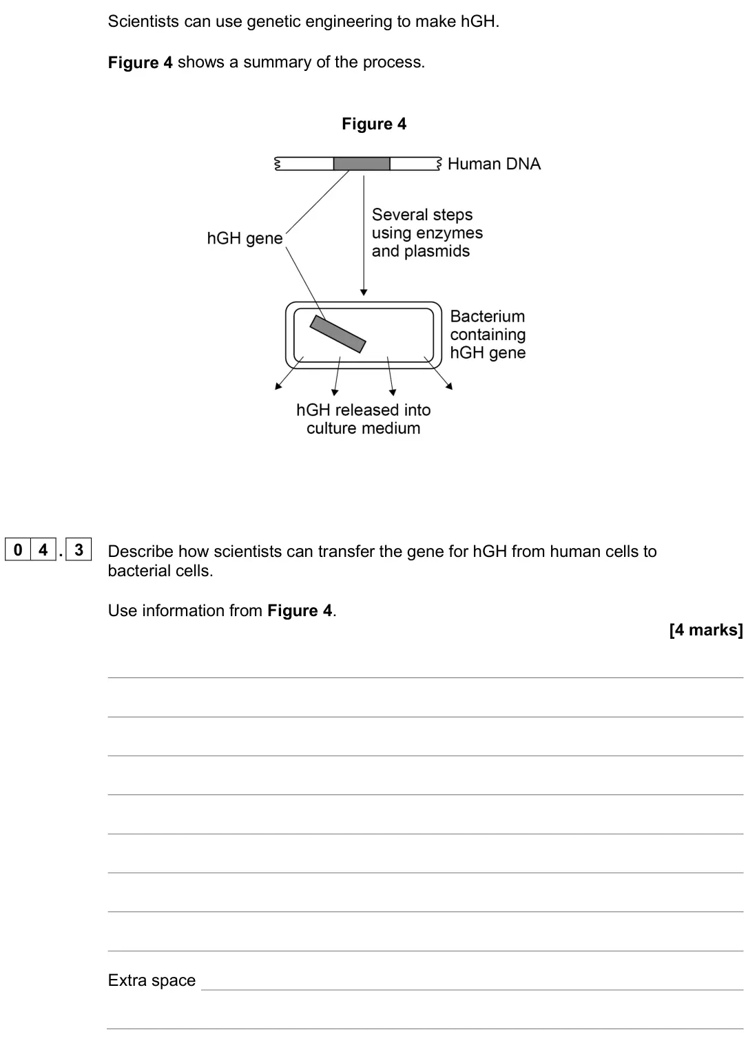 June 2025 Paper 2 Higher, question 04.3: Describe how scientists can transfer the gene for hGH from human cells to bacterial cells. Use information from Figure 4. [4 marks]