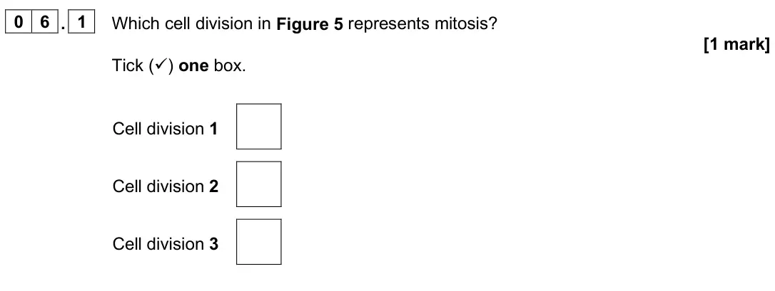 June 2025 Paper 2 Higher, question 06.1: Which cell division in Figure 5 represents mitosis? [1 mark] Tick () one box. Cell division 1 Cell division 2 Cell division 3