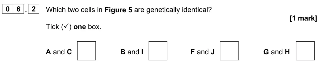 June 2025 Paper 2 Higher, question 06.2: Which two cells in Figure 5 are genetically identical? [1 mark] Tick () one box. A and C B and I F and J G and H