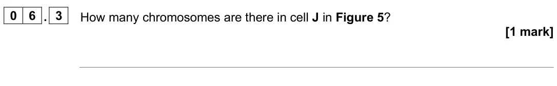 June 2025 Paper 2 Higher, question 06.3: How many chromosomes are there in cell J in Figure 5? [1 mark]