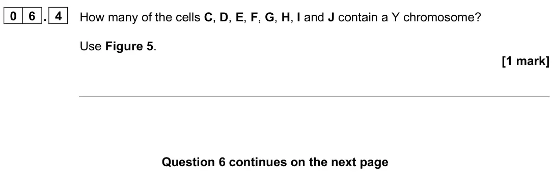 June 2025 Paper 2 Higher, question 06.4: How many of the cells C, D, E, F, G, H, I and J contain a Y chromosome? Use Figure 5. [1 mark]