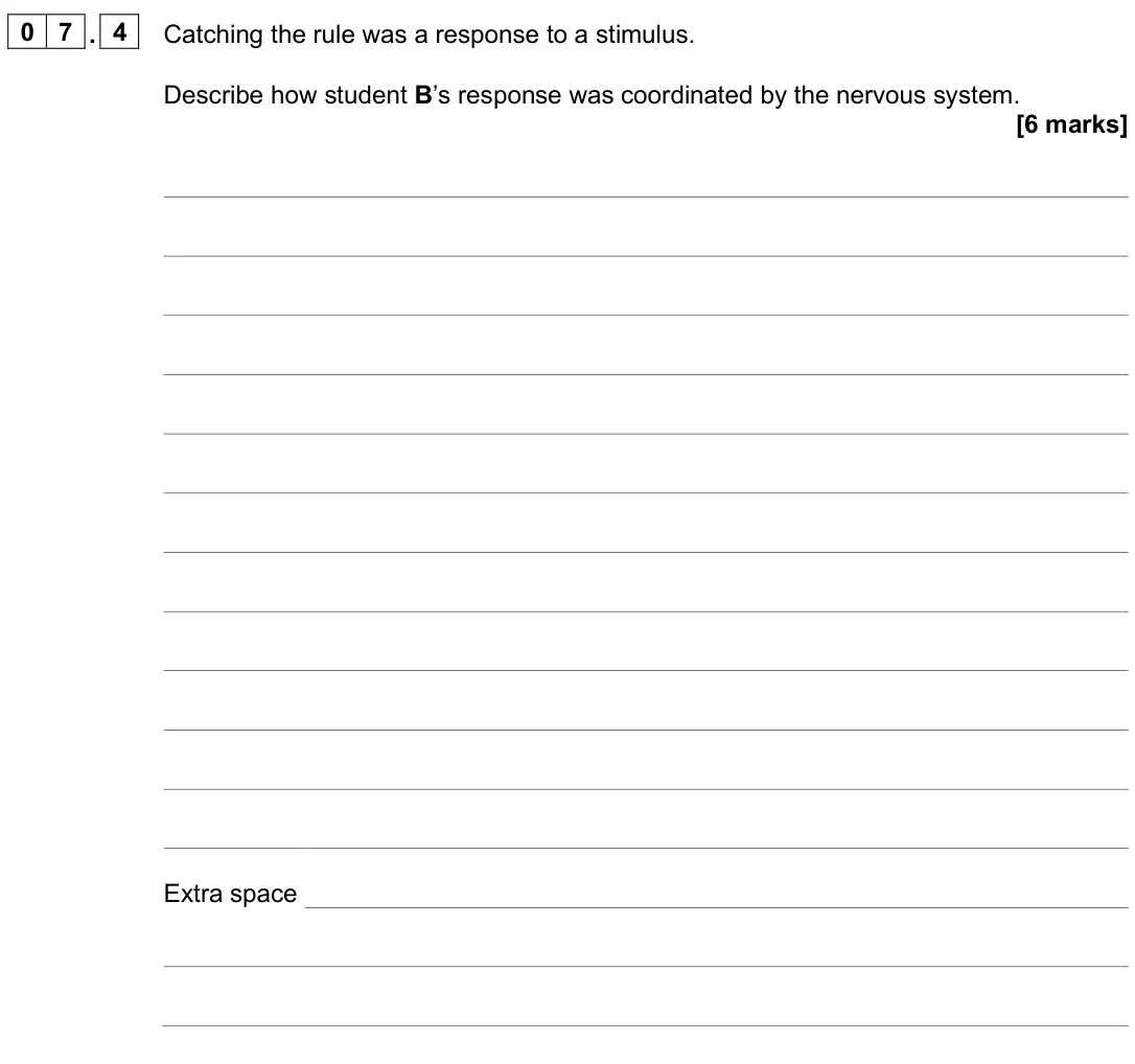 June 2025 Paper 2 Higher, question 07.4: Catching the rule was a response to a stimulus. Describe how student B’s response was coordinated by the nervous system. [6 marks]
