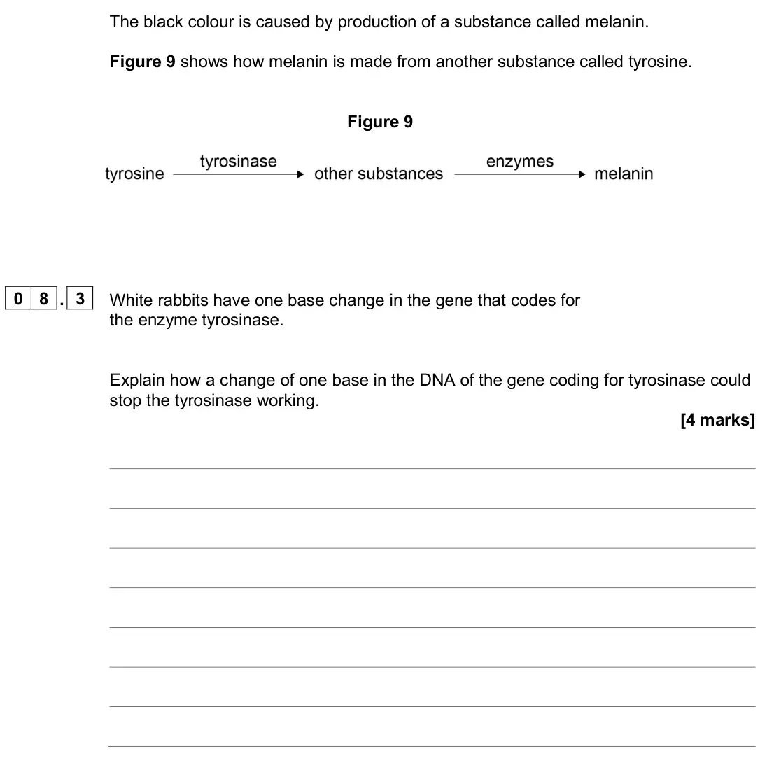 June 2025 Paper 2 Higher, question 08.3: White rabbits have one base change in the gene that codes for the enzyme tyrosinase. Explain how a change of one base in the DNA of the gene coding for tyrosina