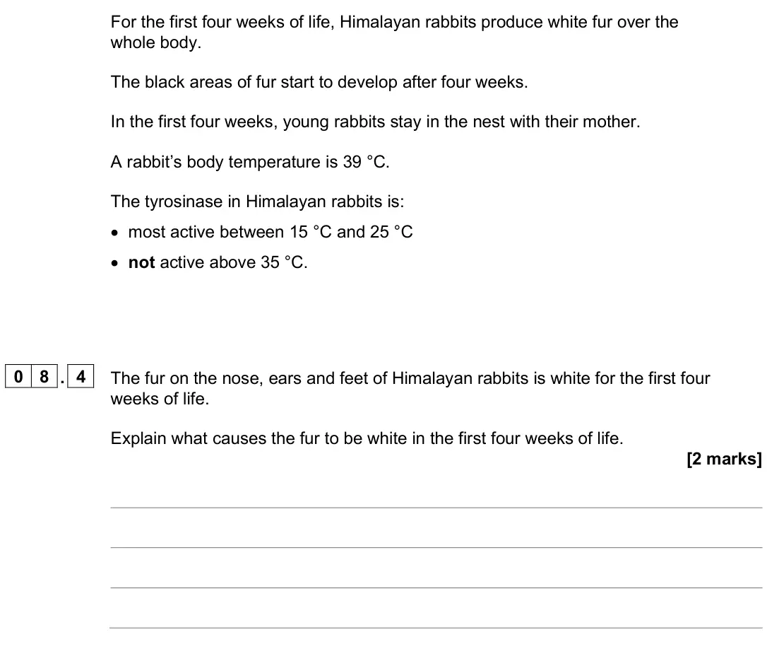 June 2025 Paper 2 Higher, question 08.4: The fur on the nose, ears and feet of Himalayan rabbits is white for the first four weeks of life. Explain what causes the fur to be white in the first four wee