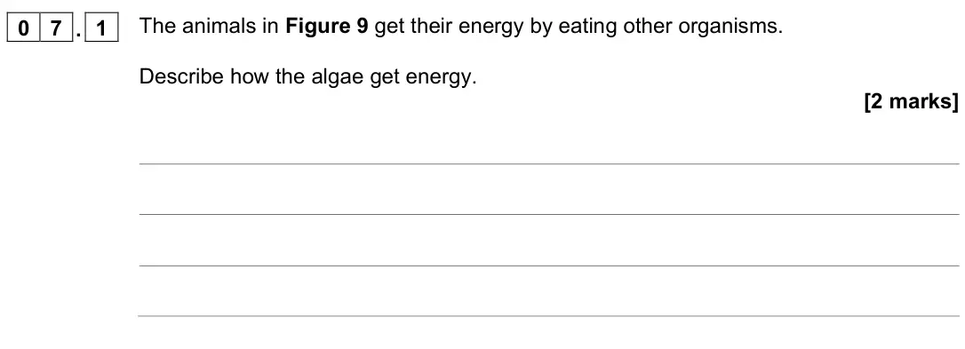 November 2021 Paper 2 Higher, question 07.1: The animals in Figure 9 get their energy by eating other organisms. Describe how the algae get energy. [2 marks]
