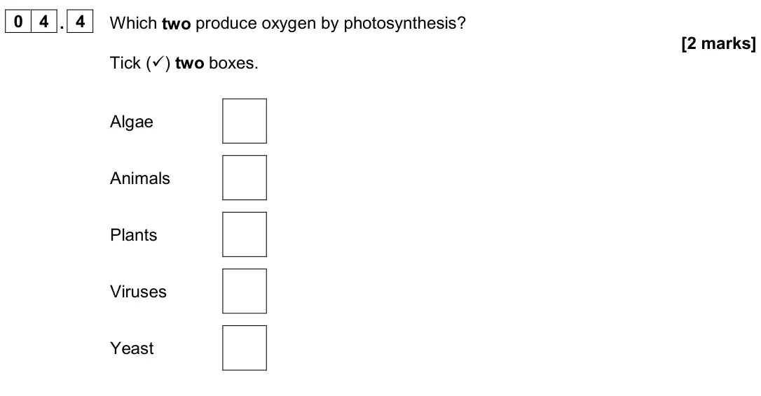 June 2024 Paper 2 Foundation, question 04.4: Which two produce oxygen by photosynthesis? [2 marks] Tick () two boxes. Algae Animals Plants Viruses Yeast