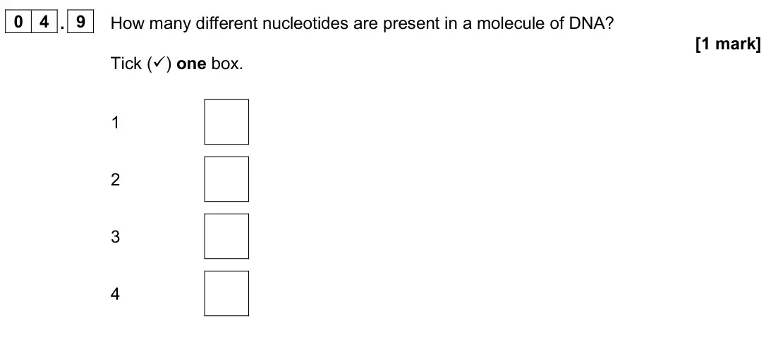 June 2024 Paper 2 Foundation, question 04.9: How many different nucleotides are present in a molecule of DNA? [1 mark] Tick () one box. 1 2 3 4