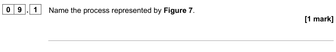 June 2025 Paper 2 Foundation, question 09.1: Name the process represented by Figure 7. [1 mark]