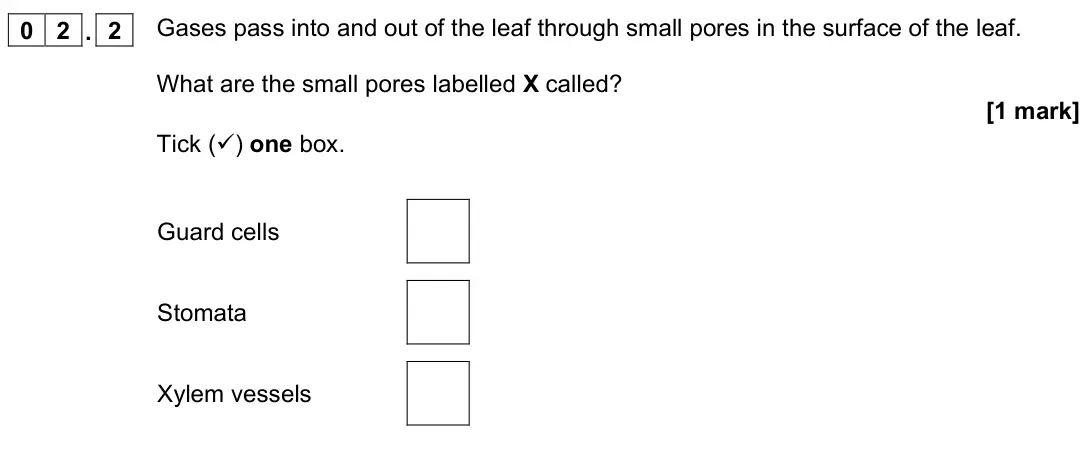 June 2022 Biology Paper 1 Foundation, question 02.2: Gases pass into and out of the leaf through small pores in the surface of the leaf. What are the small pores labelled X called? [1 mark] Tick () one box. Guard