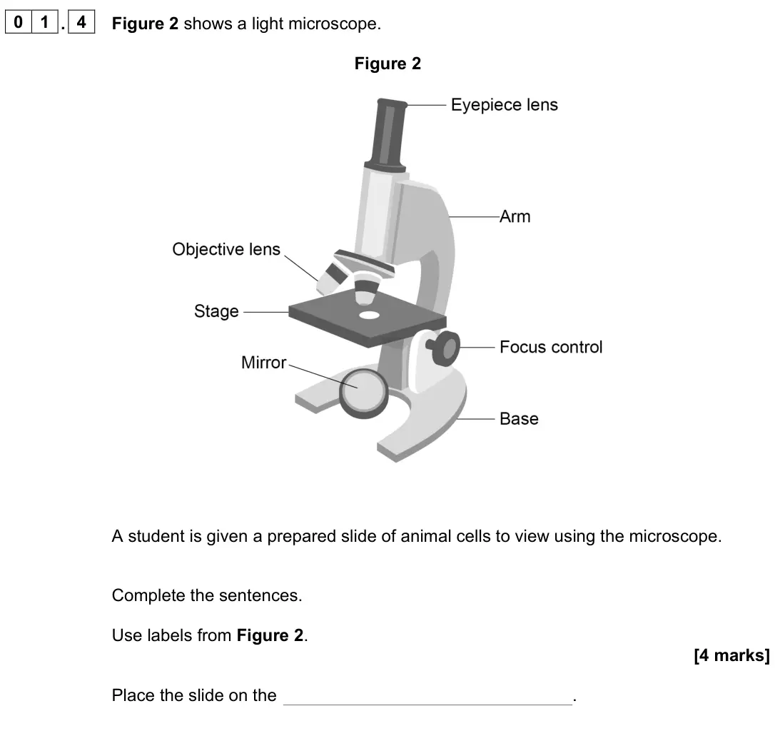 June 2024 Biology Paper 1 Foundation, question 01.4: Figure 2 shows a light microscope. Figure 2 A student is given a prepared slide of animal cells to view using the microscope. Complete the sentences. Use labels