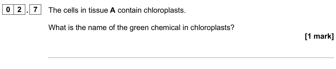 June 2025 Biology Paper 1 Foundation, question 02.7: The cells in tissue A contain chloroplasts. What is the name of the green chemical in chloroplasts? [1 mark]