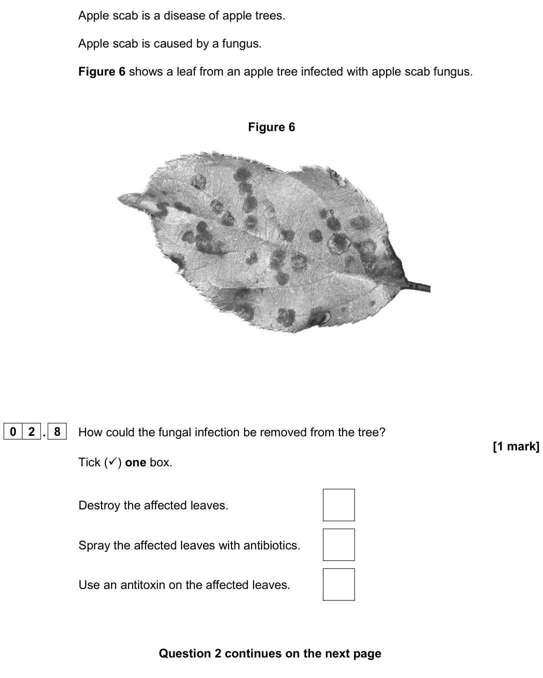 June 2025 Biology Paper 1 Foundation, question 02.8: How could the fungal infection be removed from the tree? [1 mark] Tick () one box. Destroy the affected leaves. Spray the affected leaves with antibiotics. Use